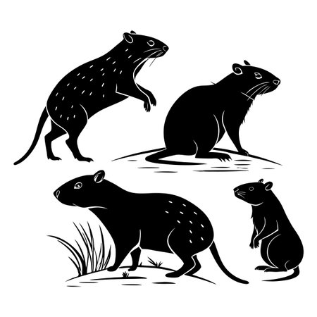Vector silhouettes of various rodents depicted in natural and lifelike poses, standing against a white background. An artistic portrayal of animals showcasing diverse shapes, postures, and characteristics for creative and educational projects.のイラスト素材