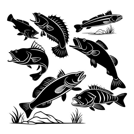 Collection of fish silhouettes in bold, striking black and white designs showcasing intricate details. Perfect for design projects, educational materials, and promotional use related to aquatic themes.のイラスト素材