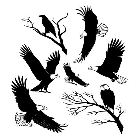 Illustration showcasing silhouettes of majestic bald eagles flying and perching on branches, symbolizing freedom, power, and grace. Perfect for wildlife themes, nature projects, and decorative applications.のイラスト素材