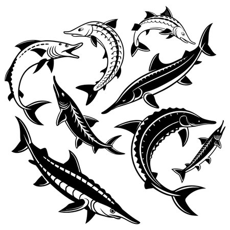 Stylized graphic representation of various species of fish in a monochrome artistic style.のイラスト素材