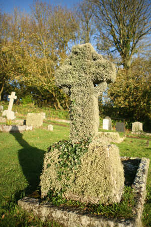 Very old gravestone coverd in ivy and lichenの写真素材