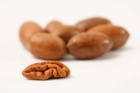 pecan nuts one shelled and some in their shells