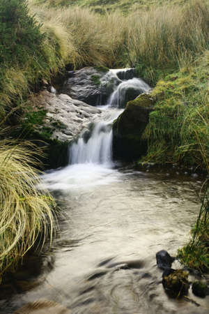 Mountain stream flows through green moss and grassの写真素材