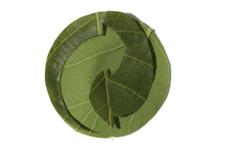 Recycling symbol made from leaves, the green dot or grüne punkt on white cut-outのeditorial素材