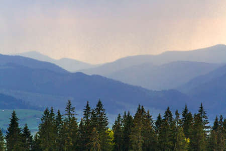 Foggy summer morning in the mountains. Carpathian, Ukraineの写真素材