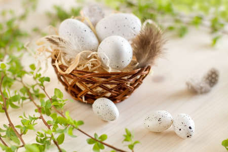 Easter eggs in the nest on beautiful  background