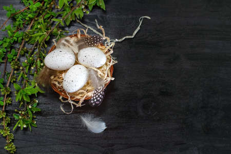 Easter eggs in the nest on beautiful  background
