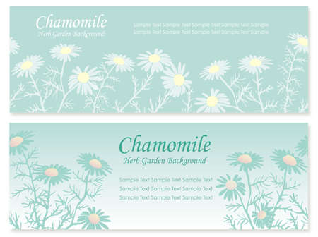 A set of two seamless chamomile background illustrations. You can create seamless patterns by duplicating these illustrations, and placing the duplicates next to each other.のイラスト素材