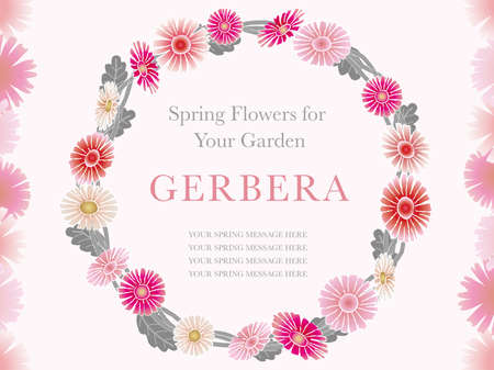 A vector frame of a spring flower, gerbera, arranged as a wreath.のイラスト素材
