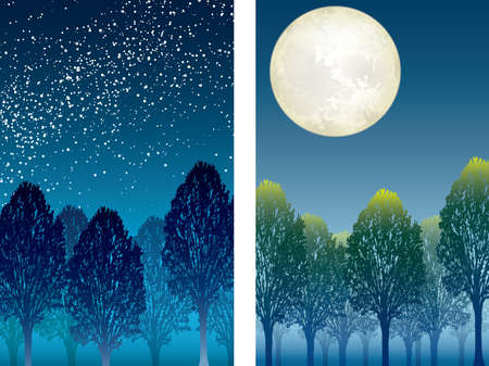 A set of two forest at night vector illustrations; one is with a starry sky and the other with a full moon.のイラスト素材