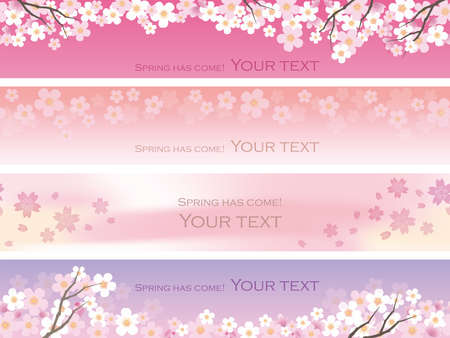 A set of four seamless vector background illustrations with cherry blossoms in full bloomのイラスト素材
