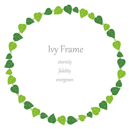 Circular ivy frame, vector illustration.のイラスト素材