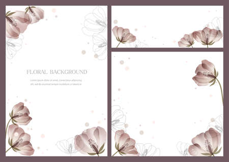 Set Of Vector Floral Backgrounds With Text Space Isolated On A Plain Background.のイラスト素材
