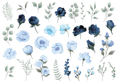 Vector Floral Element Illustration Set Isolated On A White Background.のイラスト素材