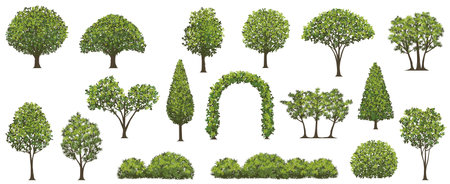 Trees And Shrubs Vector Illustration Set Isolated On A White Background.のイラスト素材
