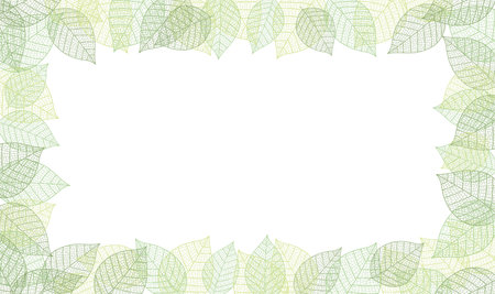 Vector Frame Illustration With Leaf Veins Silhouette Pattern Isolated On A White Background.のイラスト素材