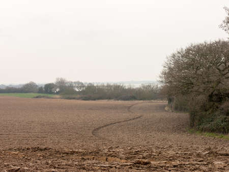 A lovely landscape of soil with a tractor line.の写真素材