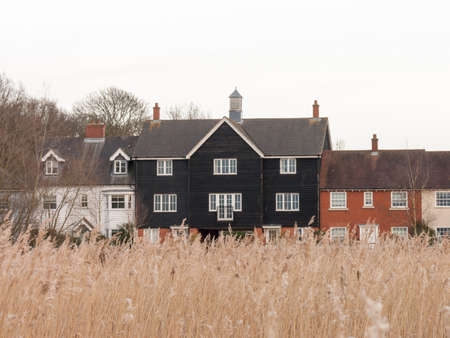 A nice black house in the distance, behind some reeds.の写真素材
