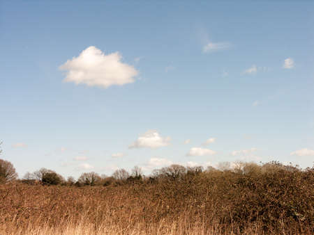 Some glorious fields in the outback with bright blue skies and lots of foliage, in the spring time - summer timeの写真素材