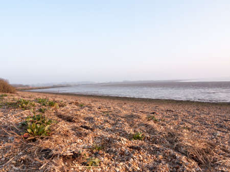 Various shots of the river and the mud, along with many birds, buoys, and other sea structures, as...