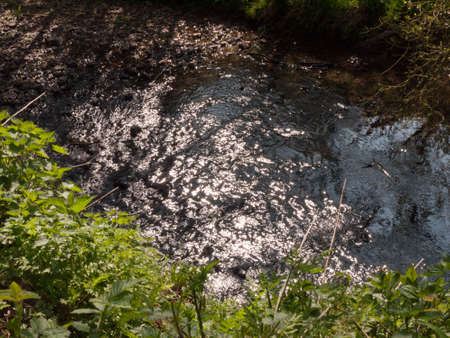 An overhead shot of a running stream