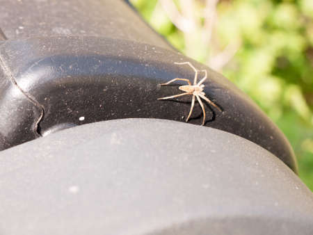 A spider on top of a bin in public
