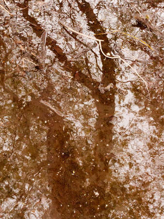 A River with Ripples in the Middle of a Forest with Rain Water and Trees Reflected in it with lots of lightの写真素材