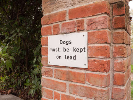 a dogs must be kept of lead white and black simple sign nailed to a brick wall on the outside near a carpark and park no peopleの写真素材