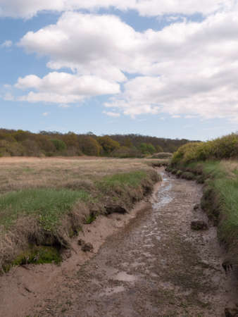 a shallow ditch of shining mud outside in a field in the country next to a running river, taken from a bridge in day time with white clouds overhead in the blue sky in springの写真素材