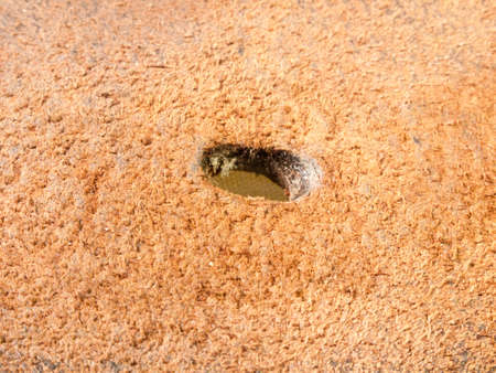 macro close up studio fabric brown leather belt buckle texture underneath with hole