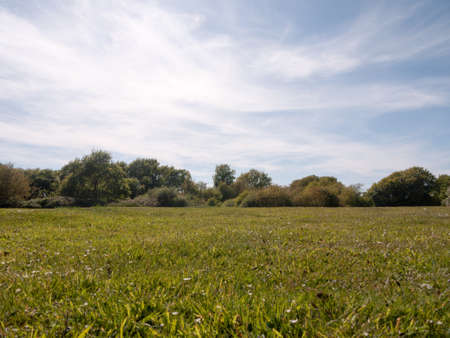 a shot from the ground grass of a meadow outside on a clear sunny day with lots of light and strong colors amazingの写真素材