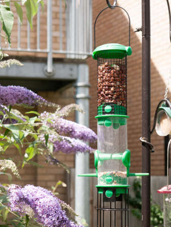 a green big bird feeder close up outside in summer full of peanutsの写真素材