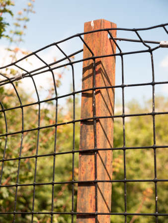 rusted metal iron bar holding a wire mesh on protected field; England; UKの写真素材