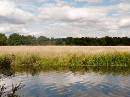 river side scene in the country on a summer's day.の写真素材