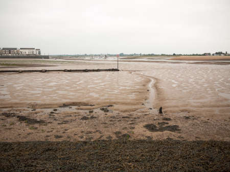a line in the mud at the beach river; England; UKの写真素材