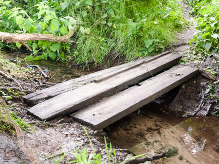 wooden blanks three forest floor river running foot bridge; England; UKの写真素材
