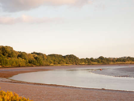 river country scene landscape with wader birds tide out and mud flats; England; Essexの写真素材