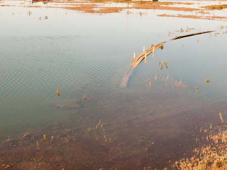 submerged wooden walkway in dockland in sea water; essex; england; UKの写真素材