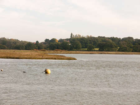 marina ball buoy floating on water scene landscape; Essex; England; UKの写真素材