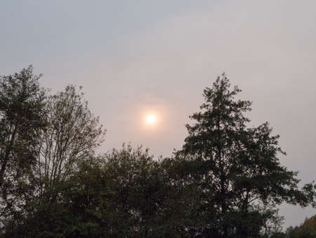 strange sky sun behind clouded sky tree skyline; essex; england; uk