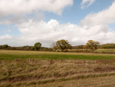 empty hill side scene in country with trees in distance and blue and clouded sky; essex; england; uk