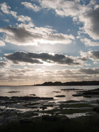 beautiful sunset over harbour coast sea bay clouds silhouette of birds landscape; essex; england; ukの写真素材