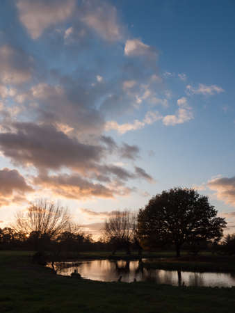 beautiful autumn bare branches no leaves countryside river sun set; essex; england; uk