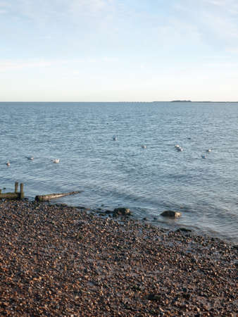 empty beach front water sea ocean horizon landscape seagulls in water; west mersea, essex, england, ukの写真素材