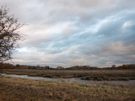 empty autumn fall bare stream landscape background; essex; england; ukの写真素材