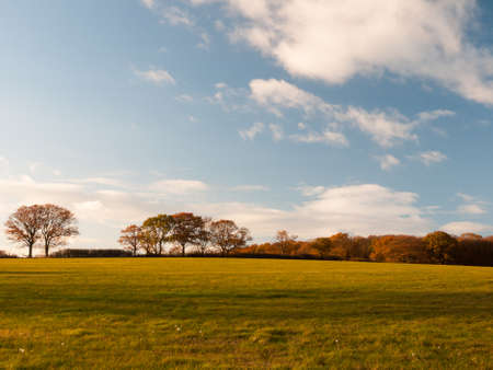 empty grass land country trees blue sky clouds landscape plain; essex; england; ukの写真素材