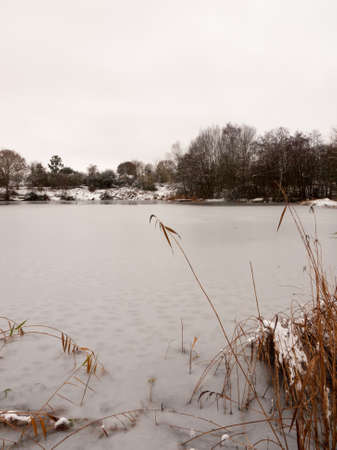 frozen over winter lake december outside country trees; essex; england; ukの写真素材