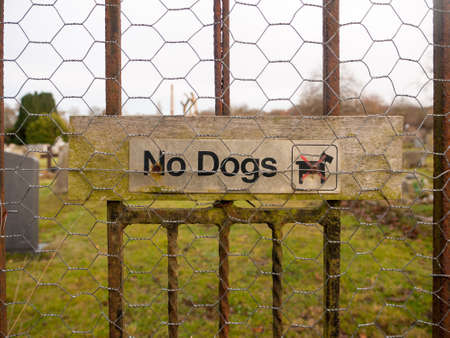 old weathered no dogs sign on metal fence; essex; england; ukの写真素材