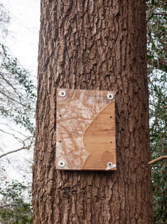 broken plastic wooden sign nailed on tree bark outside; essex; england; ukの写真素材