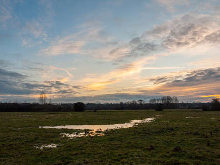 empty wet grass field low light sunset landscape dedham plain empty no people dramatic sky trees; essex; england; ukの写真素材